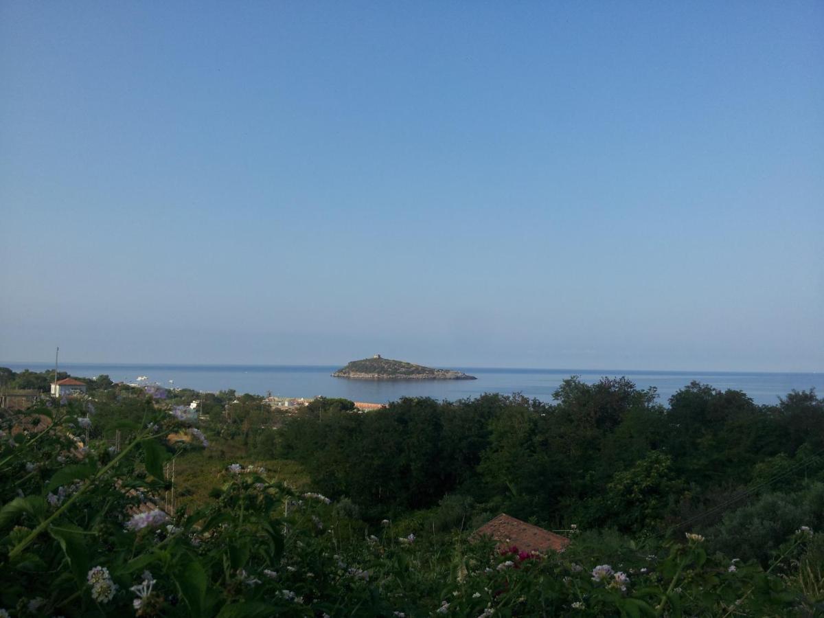 Hotel Villa Cerelis Diamante Eksteriør billede